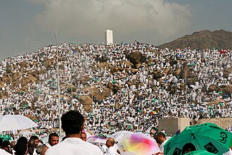 وزارة الشؤون الإسلامية تدعو الحجاج للالتزام بالإجراءات الوقائية مع ارتفاع الحرارة