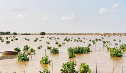 تساقطات مطرية على مناطق متفرقة من البلاد